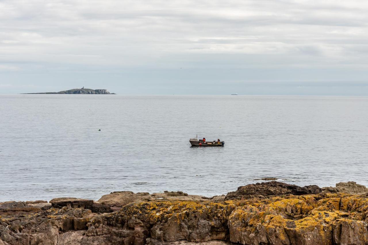 Stunning Shore Front House In Historic Cellardyke アンストラザー エクステリア 写真